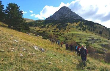 La Serra di Celano un giorno da grifoni