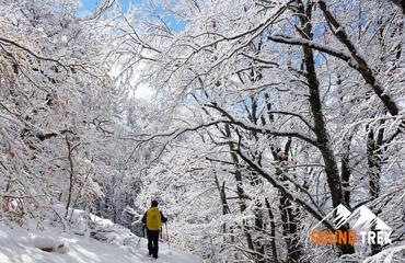 Epifania di Neve e Ciaspole nel Parco D'Abruzzo